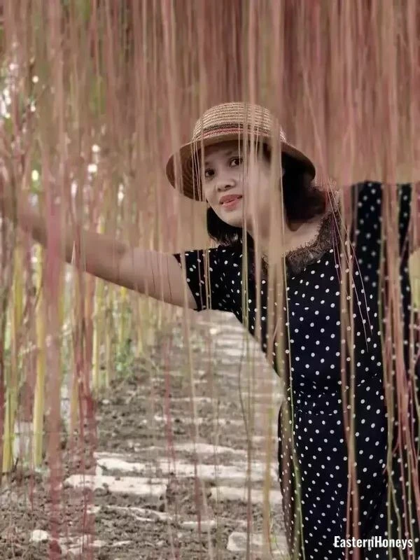 Xiaoli Mo Profile image 1